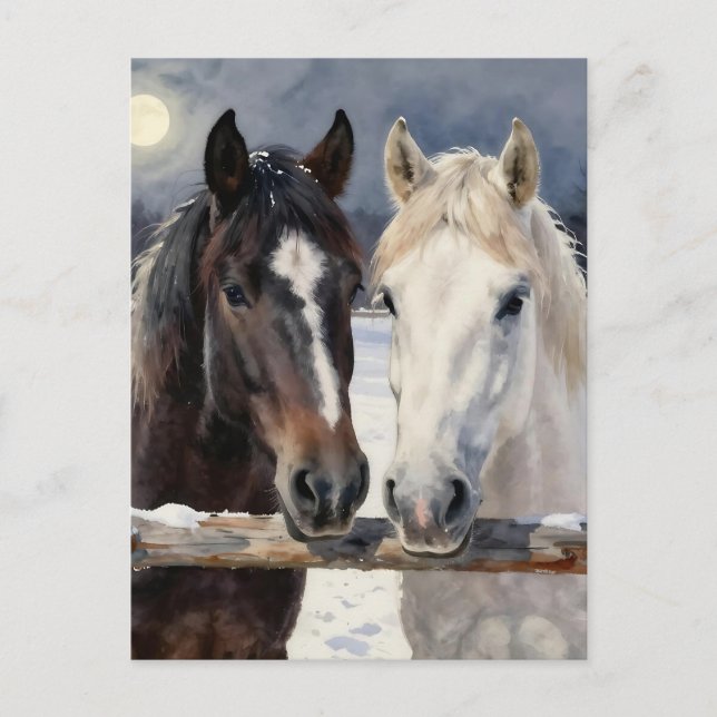 Two Horses on a Snowy Farm | Keeping in Touch Vykort (Framsida)