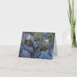 Two Iguanas Greeting Card Kort