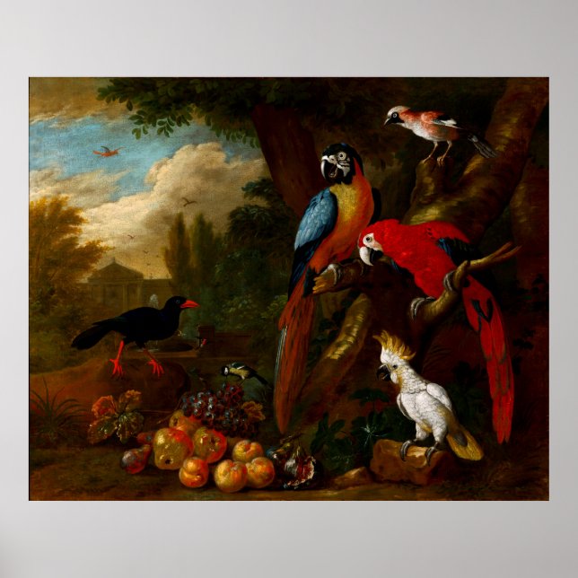 Two Macaws a Cockatoo and a Jay with Fruit Poster (Framsidan)