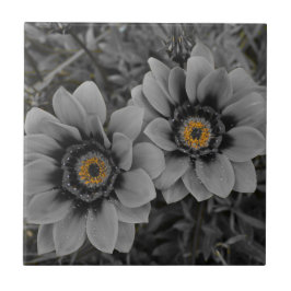 Two of a Kind Kakelplatta