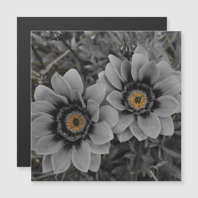 Two of a Kind Magnetic Card (Fram/baksida)