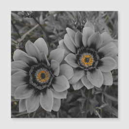 Two of a Kind Magnetic Card