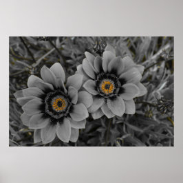 Two of a Kind Poster