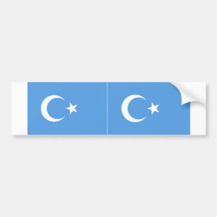 TWO Öster Turkestan Uyghur Flagga Bildekal