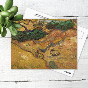 Two Rabbits in the Field Vincent van Gogh Postcard Vykort