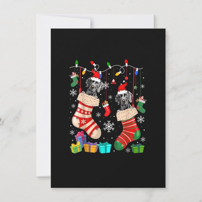 Two Santa Weimaraner Dogs In Christmas Socks Dog L Inbjudningar (Framsida)