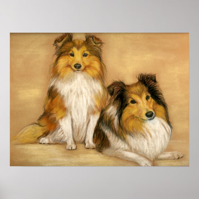 "Two Shetland Sheepdog" Hund Art Print Poster (Framsidan)
