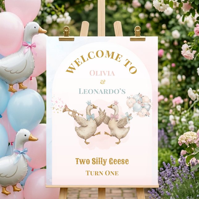 Two Silly Geese Boy & Girl Twins Birthday Welcome Poster (Skapare uppladdad)