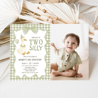 Two Silly Goose Gingham 2nd Birthday Invitation Inbjudningar