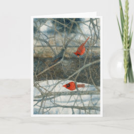 Two Snowy Cardinals Kort