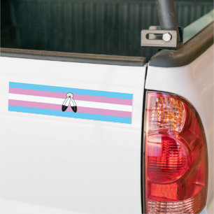 Two-Spirit Trans Pride Flagga Bildekal