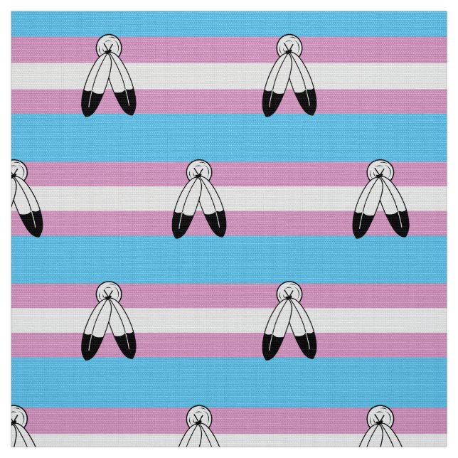 Two-Spirit Trans Pride Flagga Tyg (Provkarta)