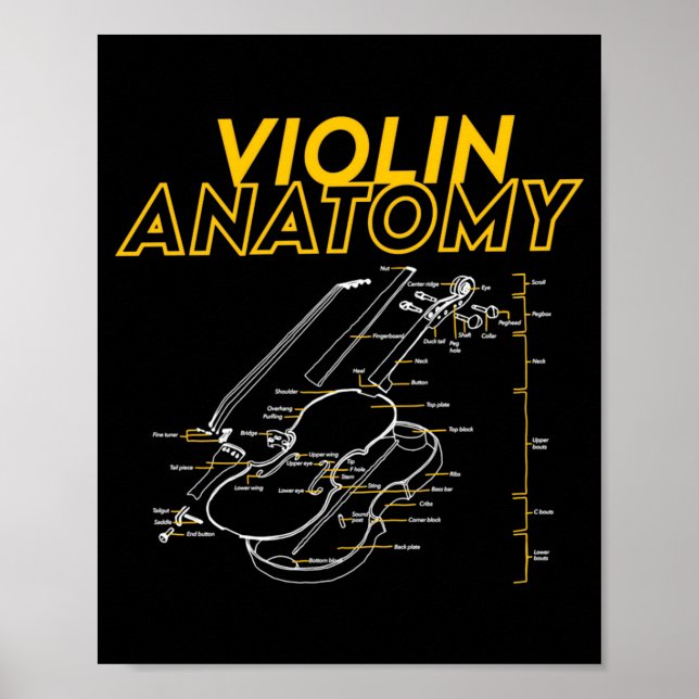 Twoset Violin Violin Anatomy Drawing Diagram Limit Poster (Framsidan)