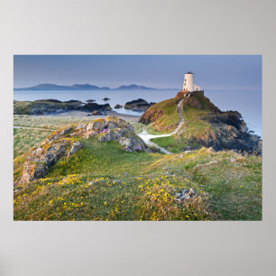 Twr Mawr-fyr på den Llanddwyn ön Poster