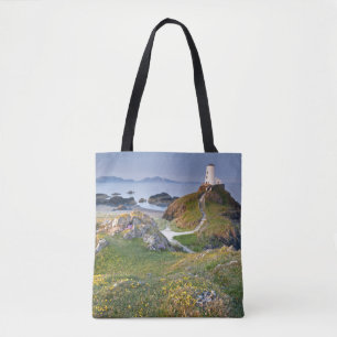 Twr Mawr-fyr på den Llanddwyn ön Tygkasse
