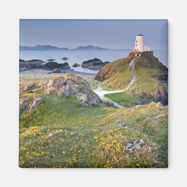 Twr Mawr Lighthouse på Llanddwyn-ön Magnet (Framsidan)