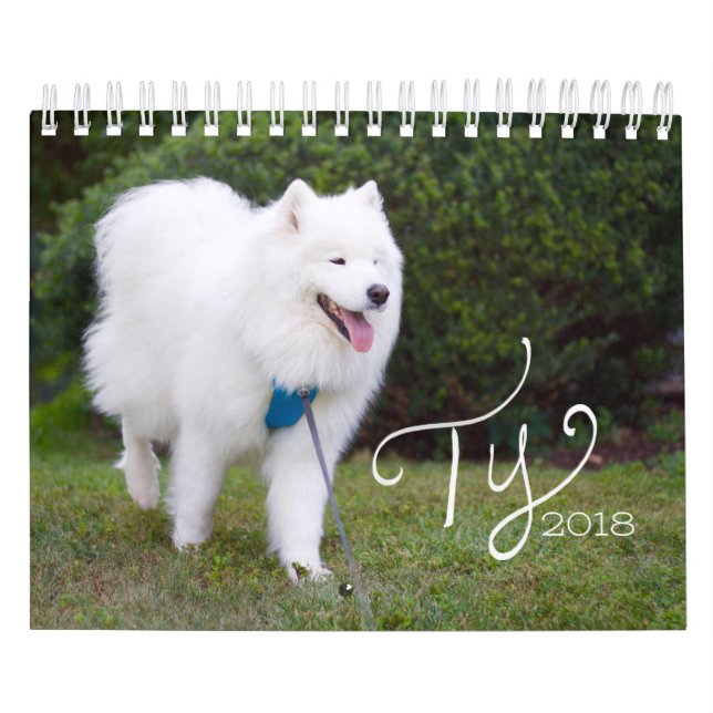 Ty 2018 kalender (Omslag)