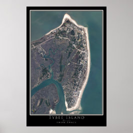 Tybee Island Georgia Satellite Poster Karta