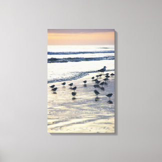 Tybee Island - God morgon Chill Canvastryck