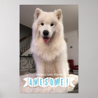 Tyberius säger att du är Fantastisk - Poster