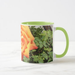 Tyck om en mugg med en orangero från Balboaön