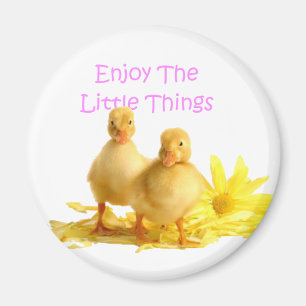 Tyck om småsakerna, Ducklings Magnet