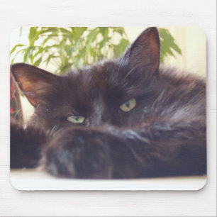 Tycka om din mus musmatta