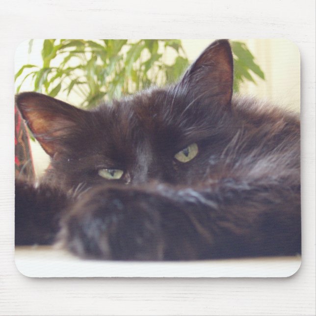 Tycka om din mus musmatta (Framsidan)