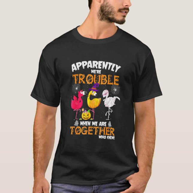 Tydligen Var Vi Problem När Vi Tillsammans Flaming T Shirt (Framsida)