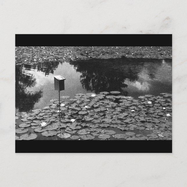 Tydlighet Vykort (Framsida)