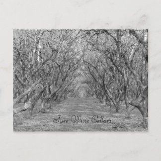 Tyee Hazelnut Vykort