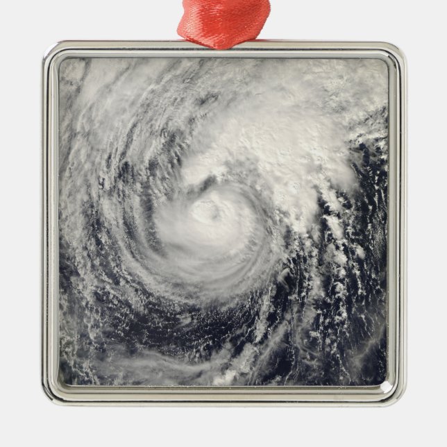 Tyfondelfin i Filippinernas hav Julgransprydnad Metall (Framsidan)