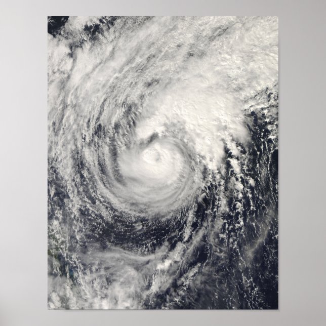 Tyfondelfin i Filippinernas hav Poster (Framsidan)