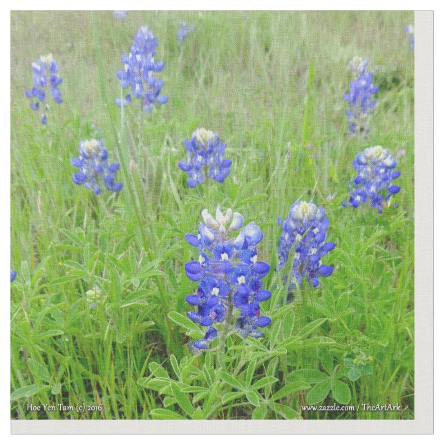 Tyg - blåtthättor (Närbild)