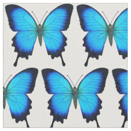 Tyg för blåttUlysses Swallowtail fjäril