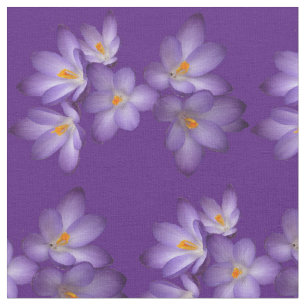 Tyg för blomma för lilavårkrokus