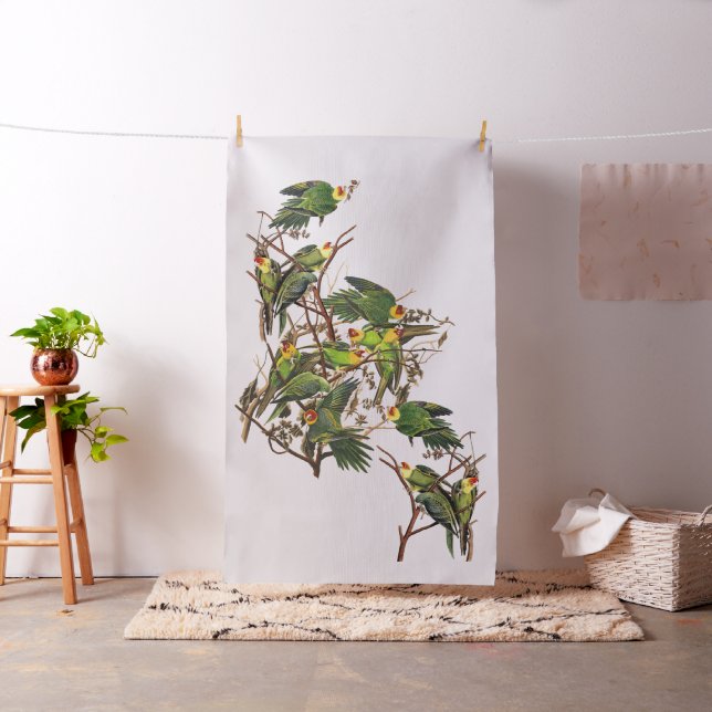 Tyg för djurliv för Audubon Carolina (In Situ)