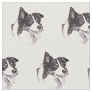Tyg för konst för gränsColliehund
