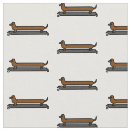 Tyg för Skateboardtaxhund