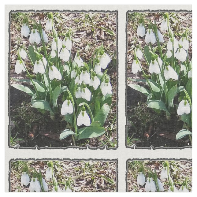Tyg för vårSnowdrops blommigt (Närbild)