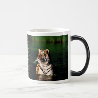 Tyger Tyger Magisk Mugg