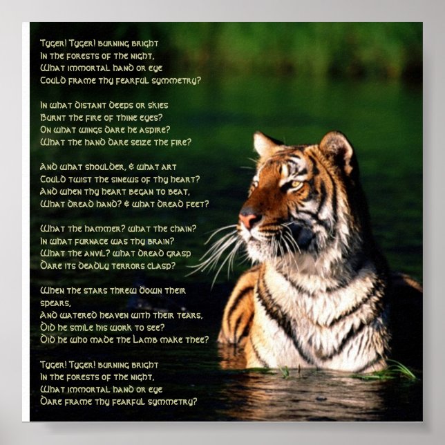 Tyger, tyger Skriv ut Poster (Framsidan)