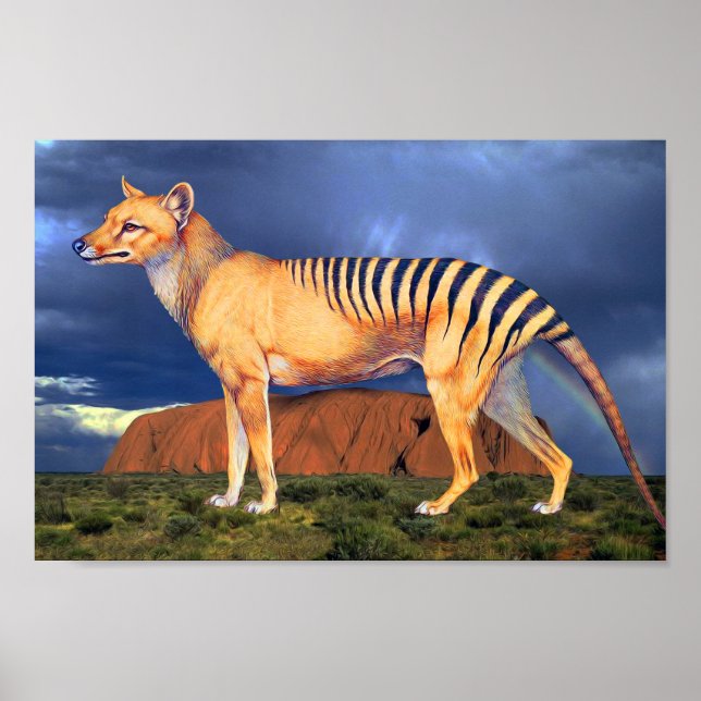 Tylacin (Tasmanian Tiger) Poster (Framsidan)