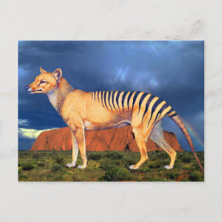 Tylacin (Tasmanian Tiger) Vykort