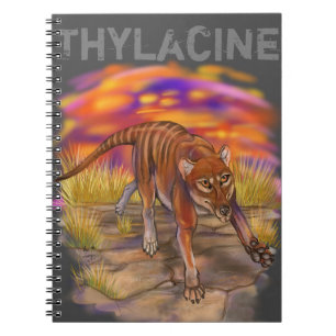 tylakin anteckningsbok