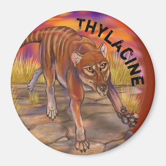 tylakin magnet (Framsidan)