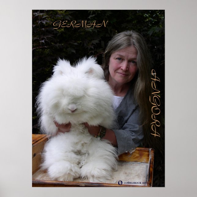 TYMAN ANGORA RABBIT ADD POSTER (Framsidan)