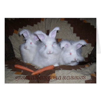 TYMAN ANGORA RABBITS HÄLSNINGSKORT