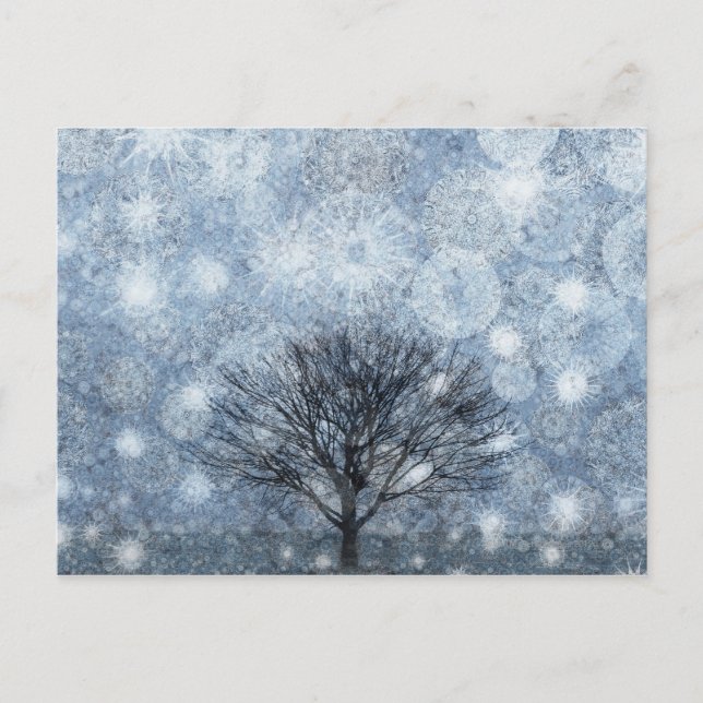 Typ av överlevnad vykort (Framsida)