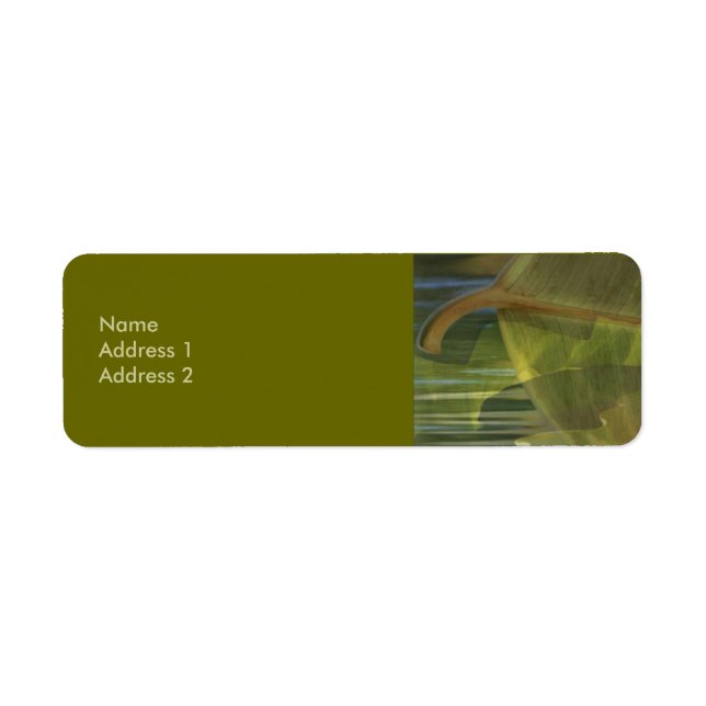 Typ i balansetikett returadress etikett (Framsidan)